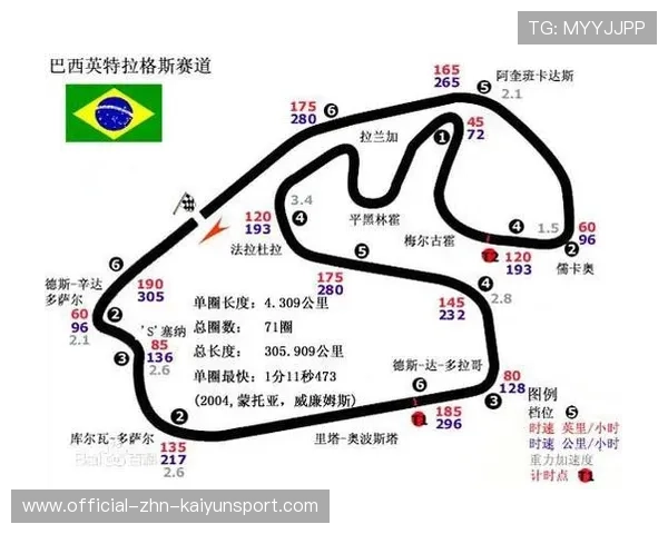 F1赛季关键赛道车辆性能数据分析（460 ）